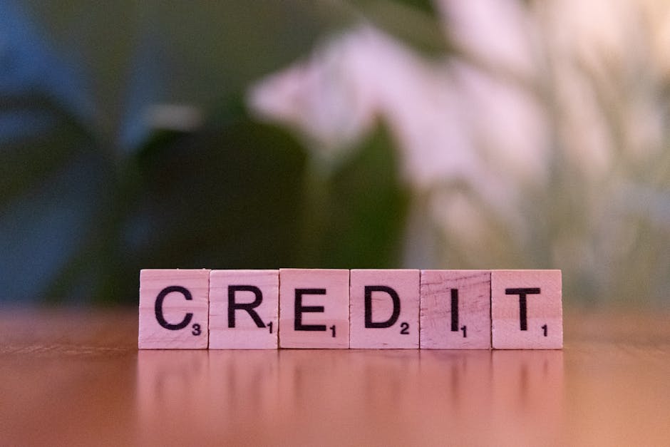 Close-up of wooden blocks spelling  credit  with a blurred leafy background.