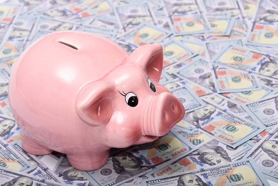 Emergency Fund vs Debt Payoff: Finding the Right Balance calculator