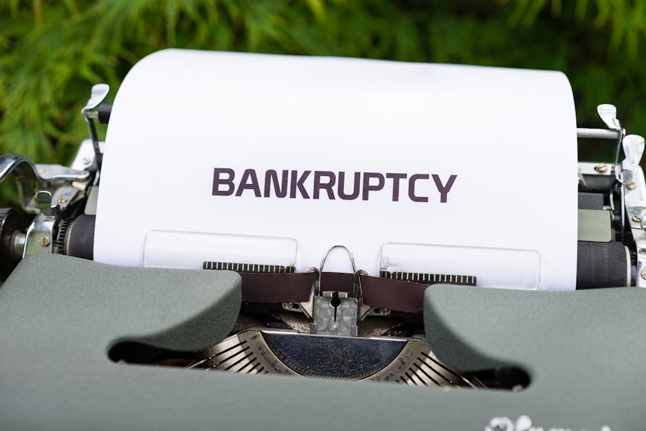 Bankruptcy Alternatives: Options Before Filing Chapter 7 or  calculator